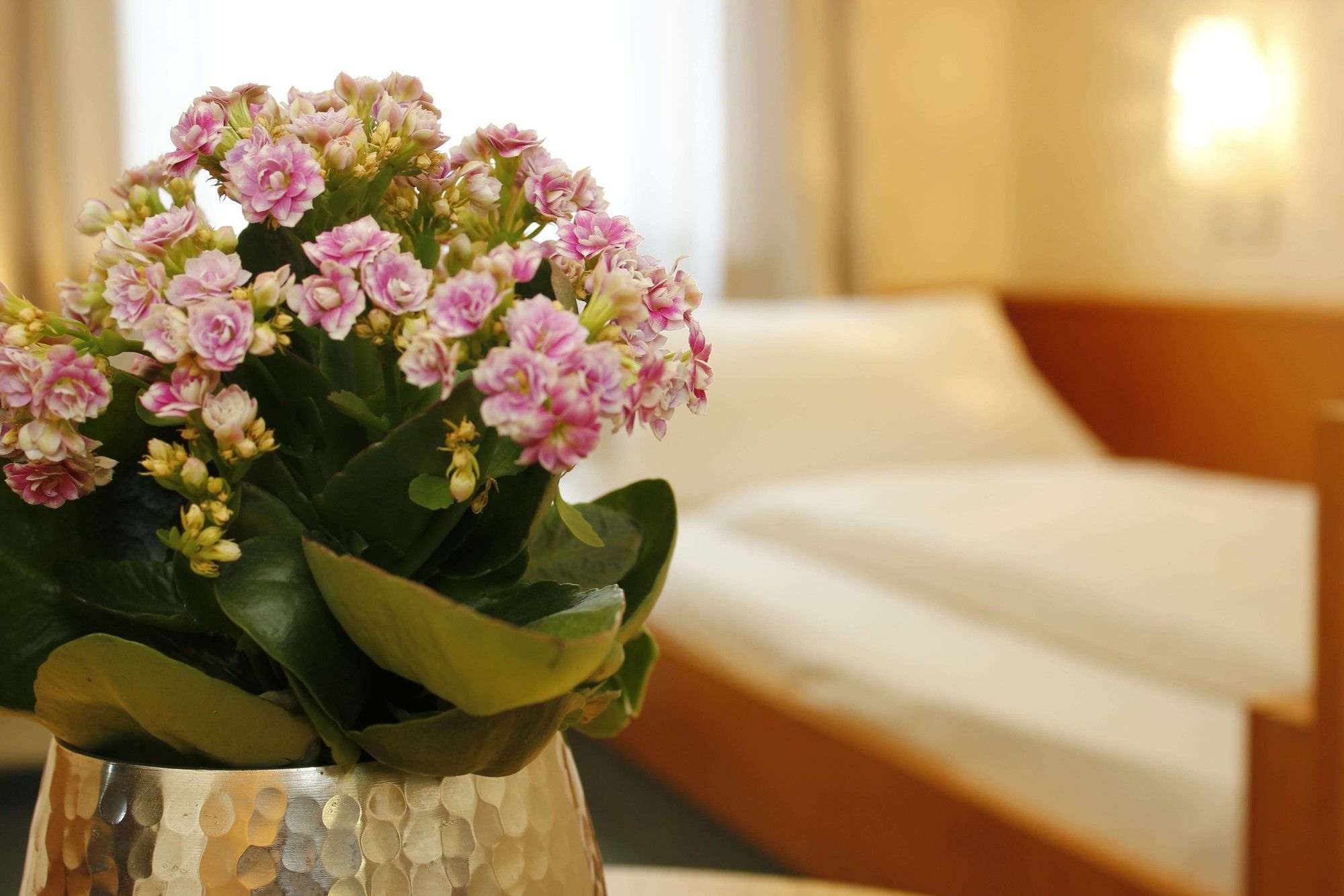 City Hotel Würzburg Hotel